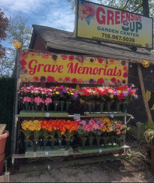 Spring Cone Tree Spring Cones - Greenside Up Garden Center