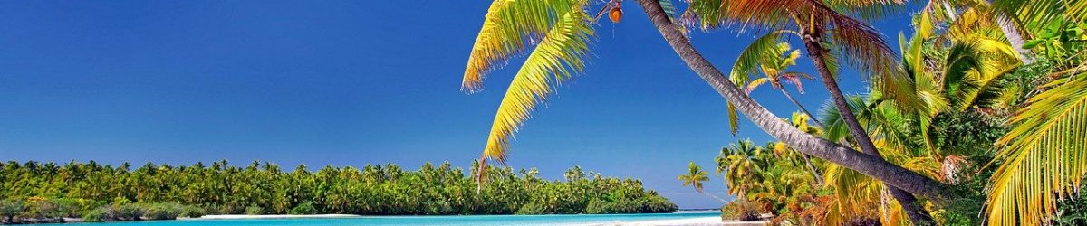 cook islands, beach, palm trees